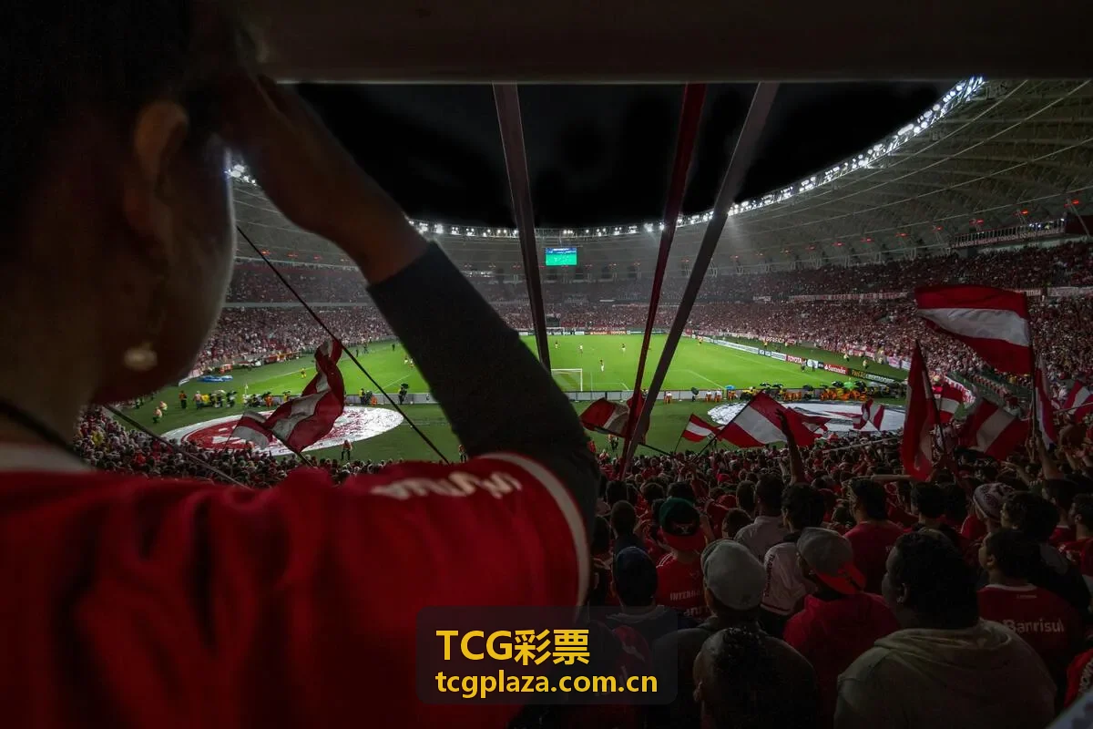 TCG彩票走势分析数据图表展示