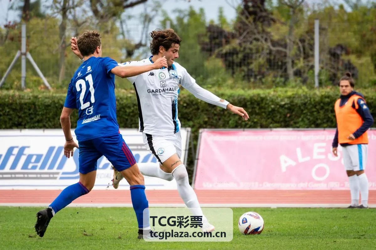 TCG彩票折线走势图示例